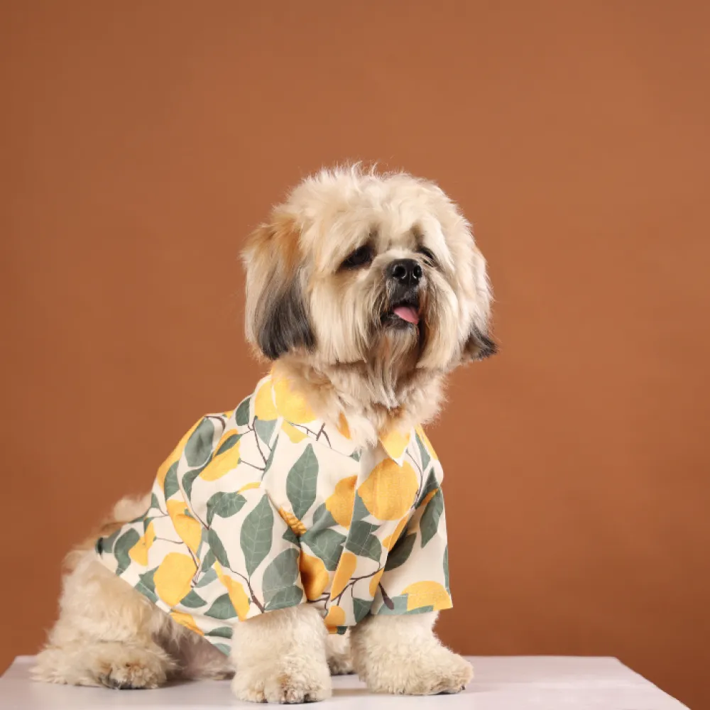 15buttons Limon Shirt for Dogs