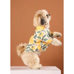 15buttons Limon Shirt for Dogs