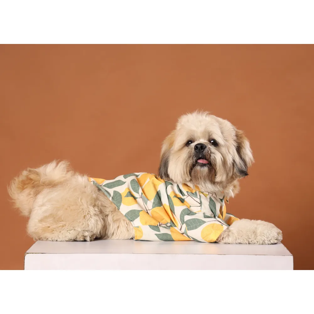 15buttons Limon Shirt for Dogs