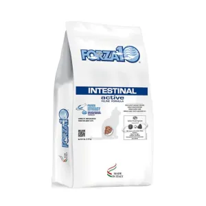 Active CAT Intestinal Digestive Diet 4 LB