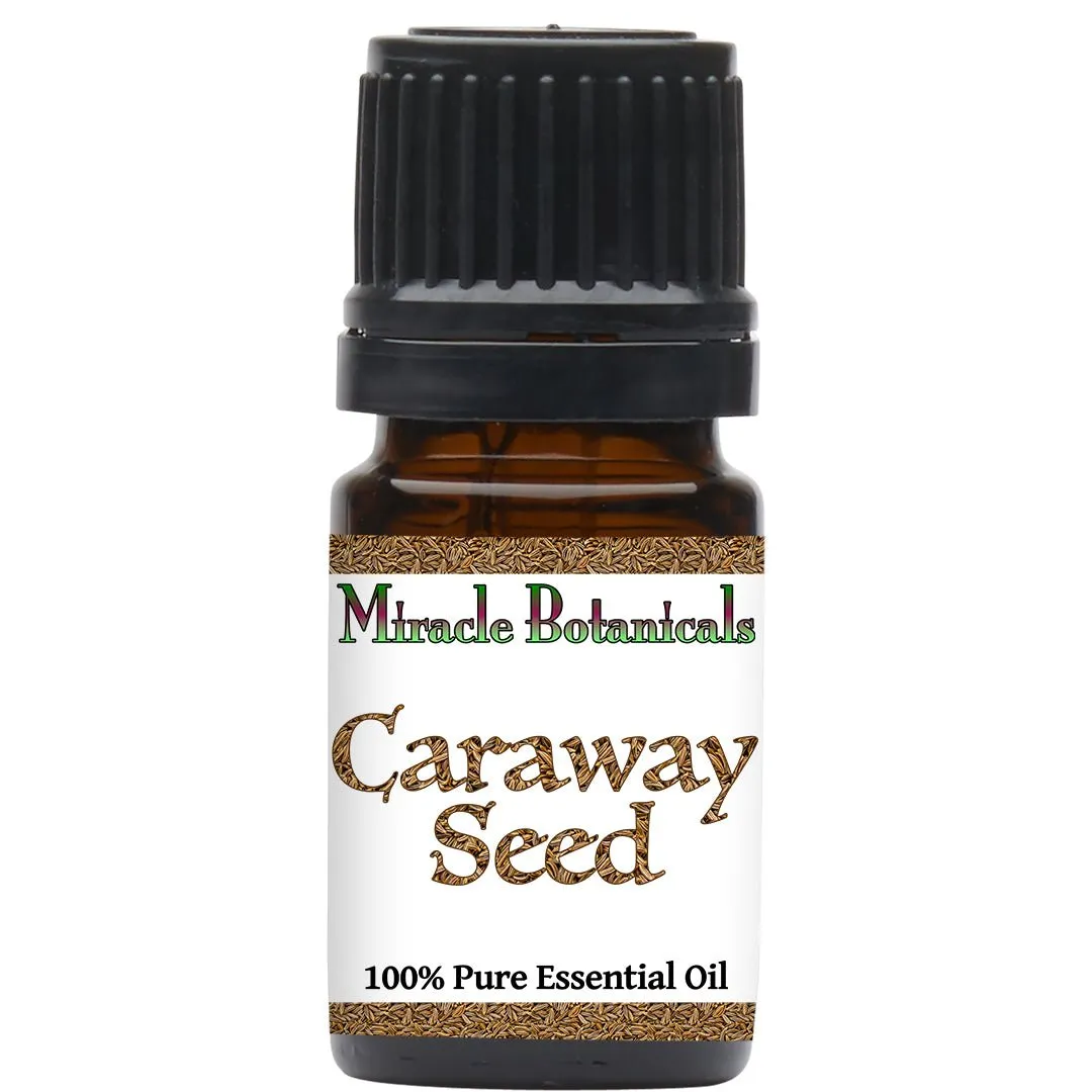 Caraway Seed Essential Oil (Carum Carvi)