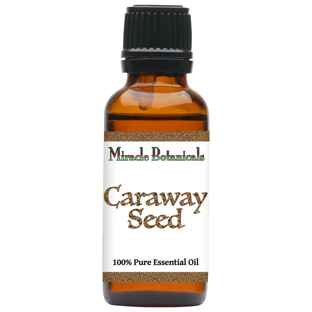 Caraway Seed Essential Oil (Carum Carvi)