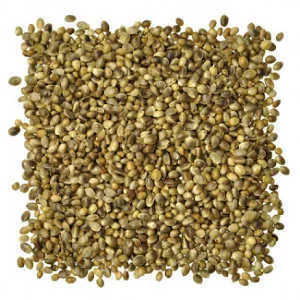 Hemp Seed