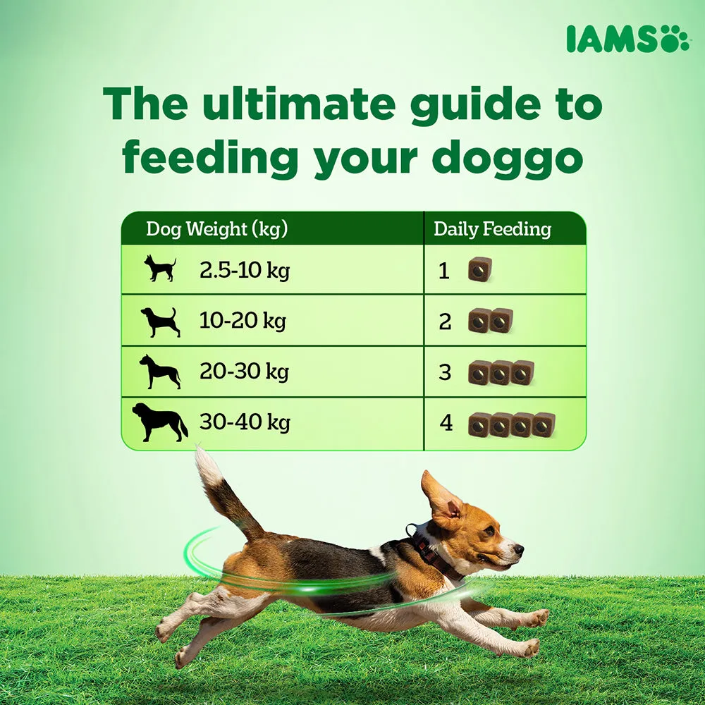 IAMS Proactive Health Dog Supplement For Healthy Immune System