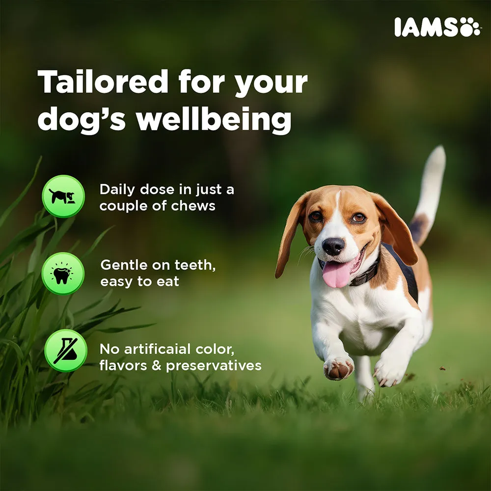 IAMS Proactive Health Dog Supplement For Healthy Immune System