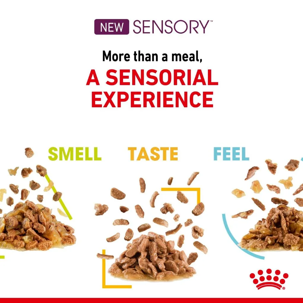 Royal Canin Sensory Taste Gravy 85g x12