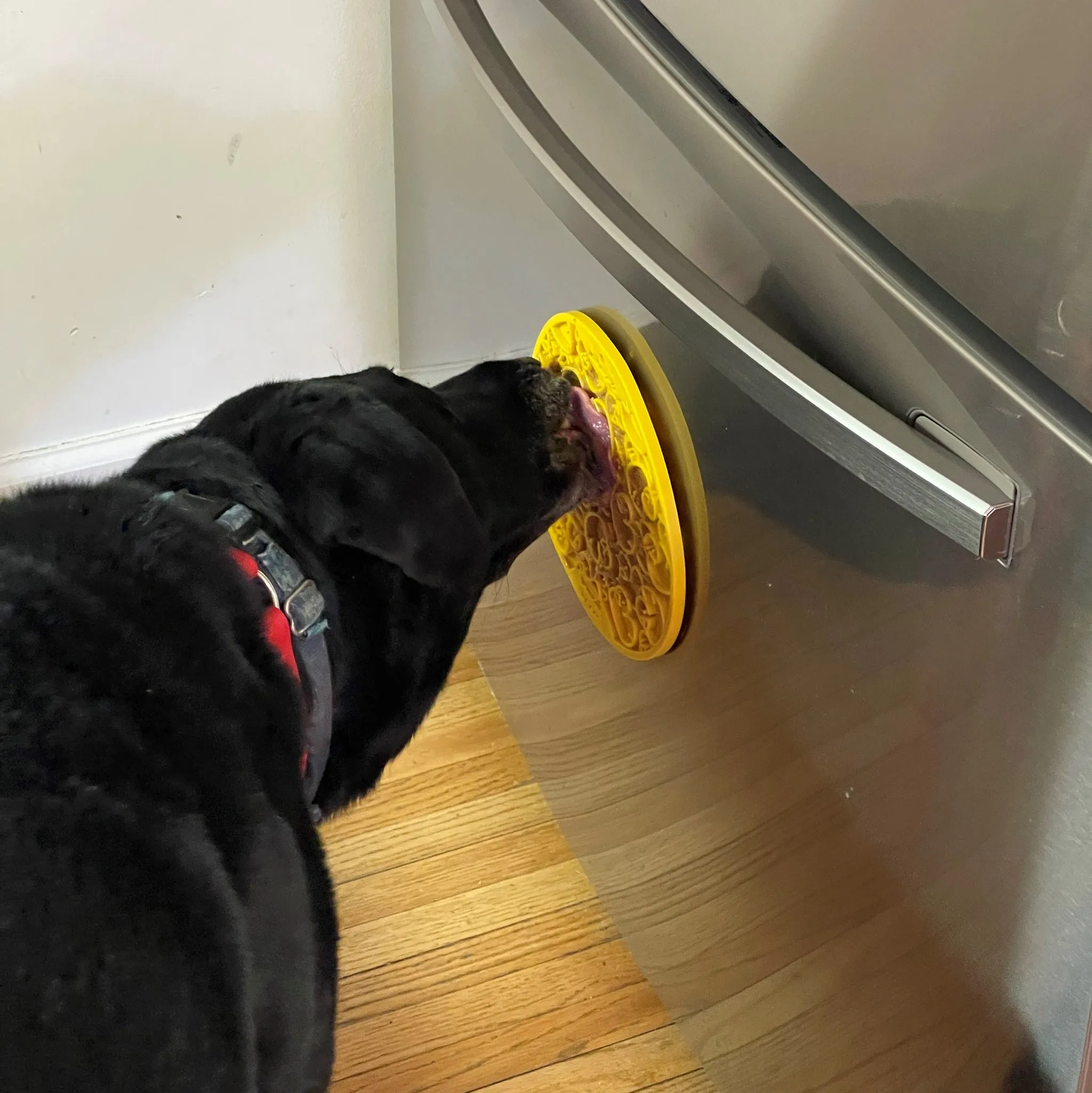 SP Enrichment Lick Mat - Duckies with suction cups