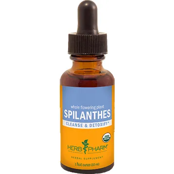 Spilanthes 1 oz by Herb Pharm