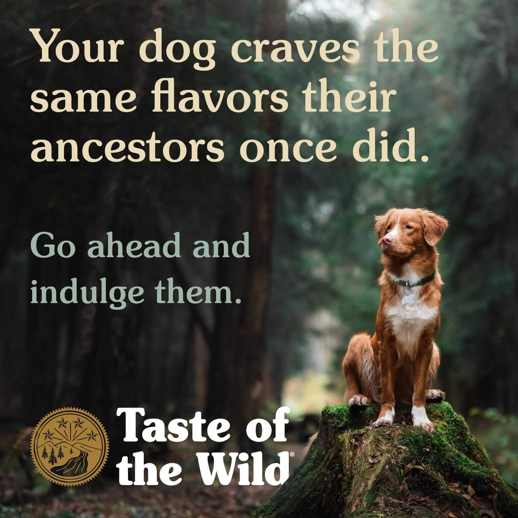 Taste of the Wild Grain-Free Dry Dog Food Puppy Formula